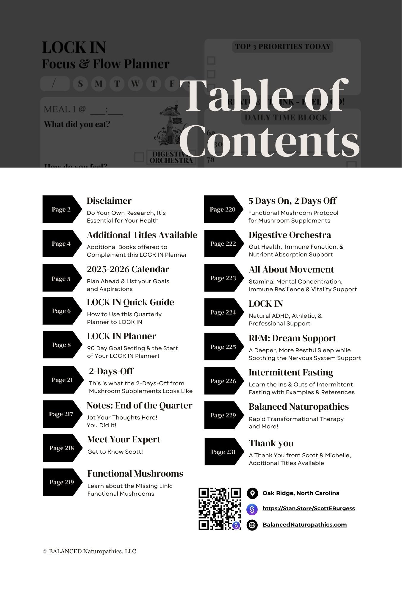 LOCK IN Focus & Flow Quarterly Planner