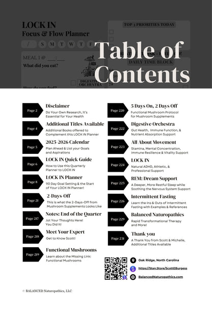 LOCK IN Focus & Flow Quarterly Planner