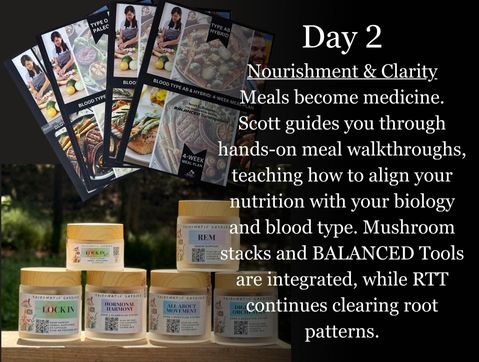 Scott E. Burgess Immersion Day 2 Energy — in-home guidance with movement, nutrition, and nervous system reset for vitality.