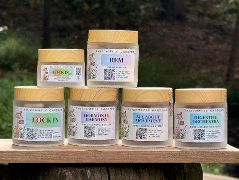 Scott E. Burgess Immersion BALANCED Tools, hand-delivered functional mushroom stacks including LOCK IN, REM, Digestive Orchestra, and more.